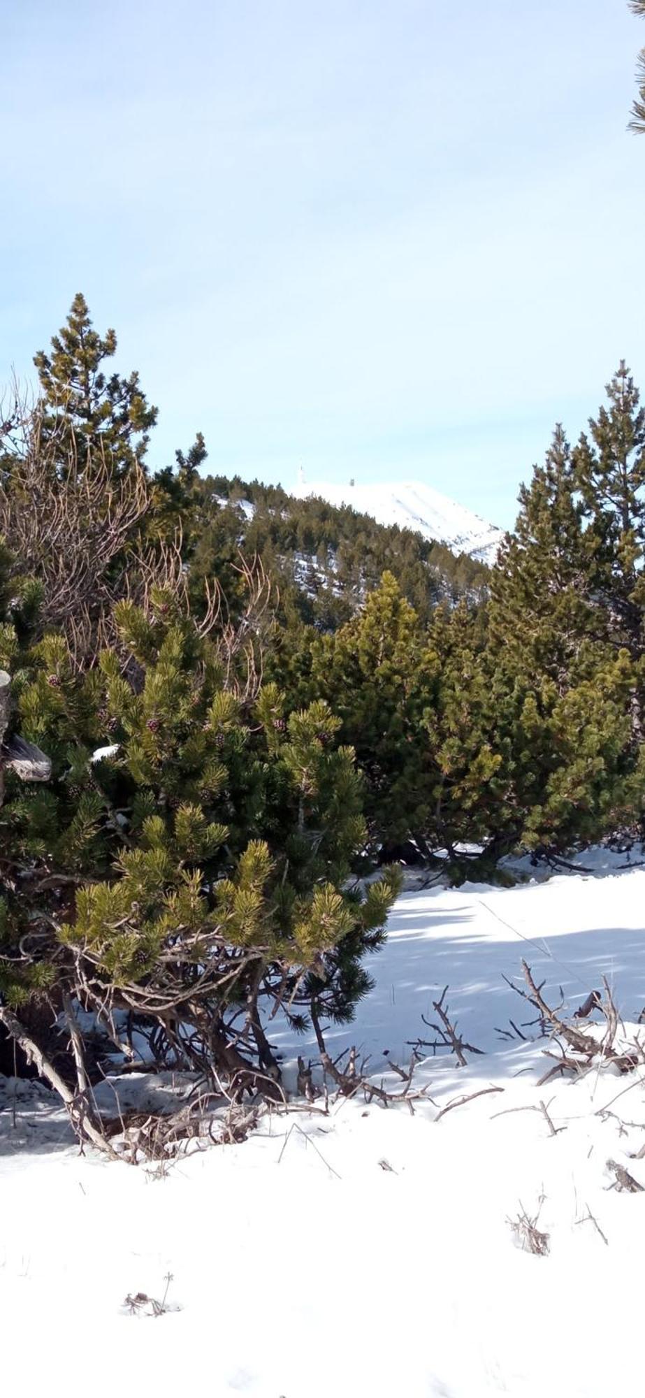 Studio Tout Confort En Provence Mont Ventoux. 贝端 外观 照片